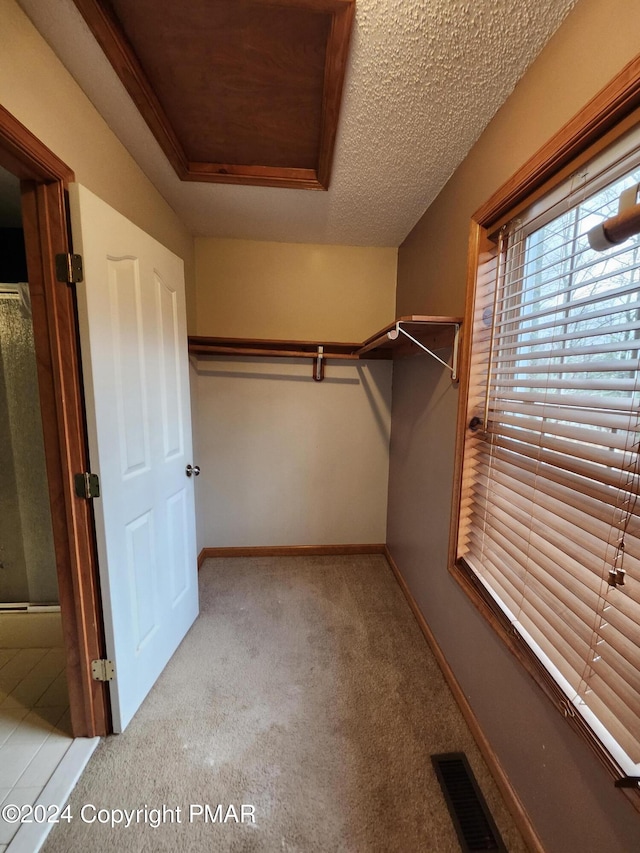 walk in closet with carpet flooring and visible vents