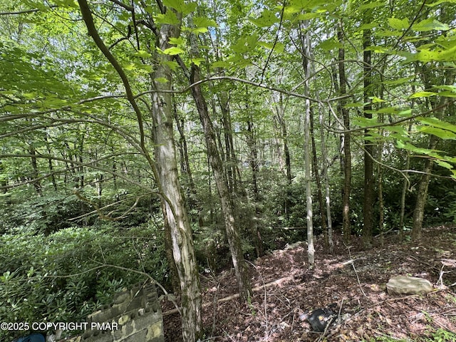 207 N Eastbrook Rd, Effort, PA 18330 - photo 9