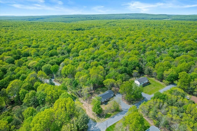 39 Berryman Ln, Albrightsville, PA 18210 - drone / aerial view of a forest