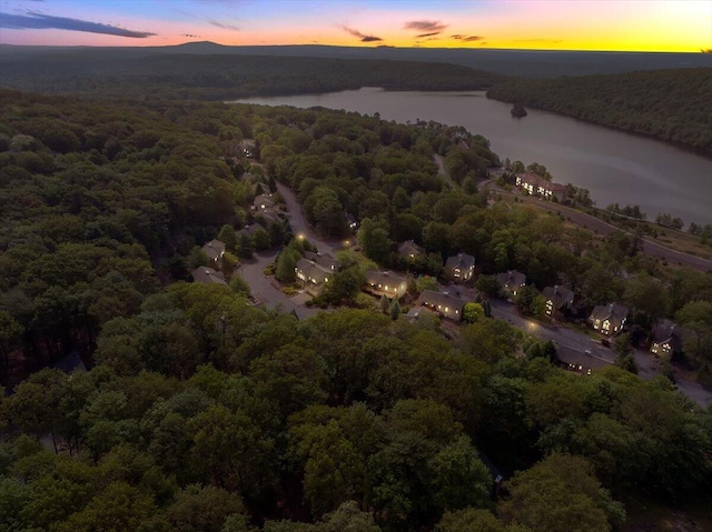 17 Pineknoll Dr, Lake Harmony, PA 18624 - photo 45