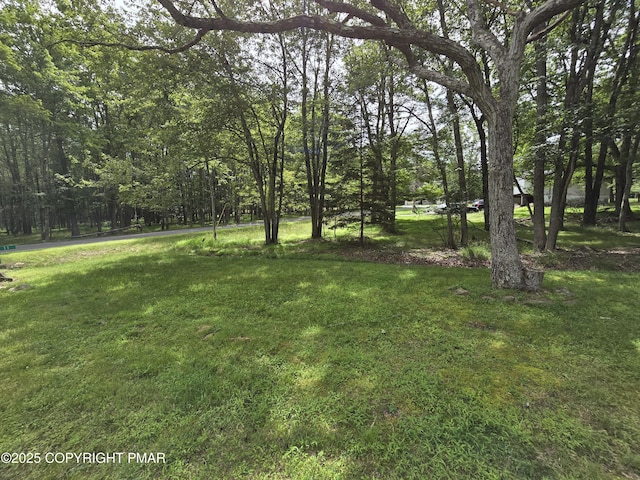 11 Willow Way, Albrightsville, PA 18210 - photo 31