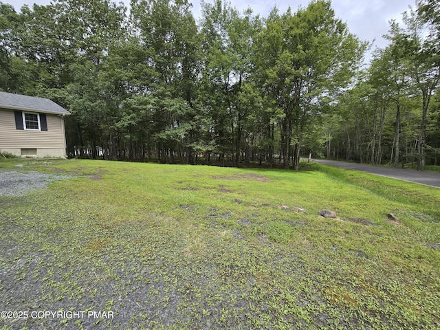 11 Willow Way, Albrightsville, PA 18210 - photo 25