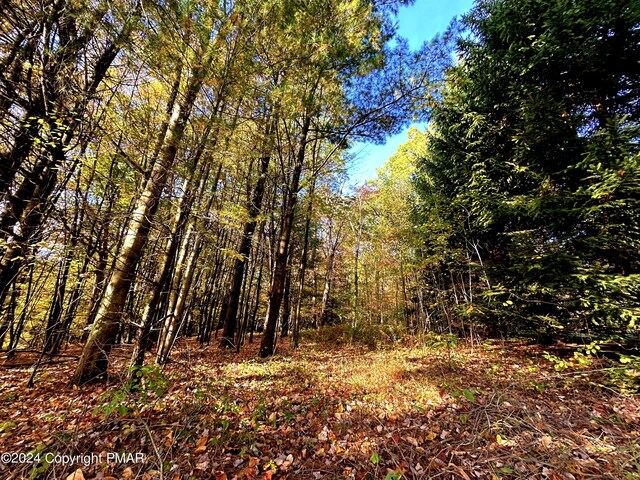 Listing photo 3 for LOT7 Wes Flo Ct, Kunkletown PA 18058