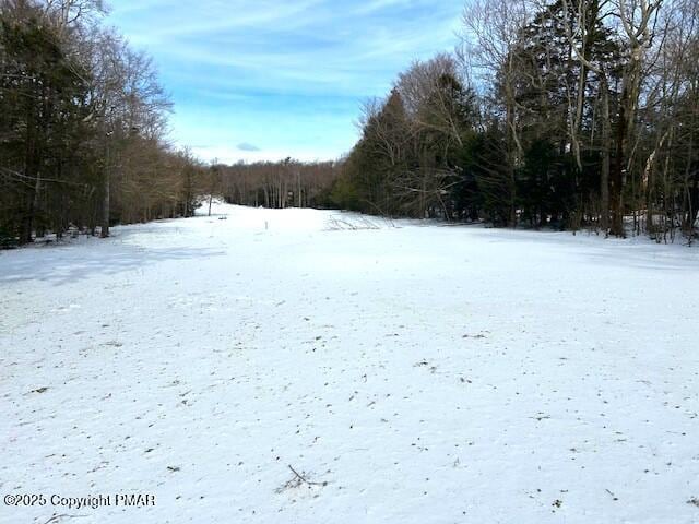 yard covered in snow featuring a forest view