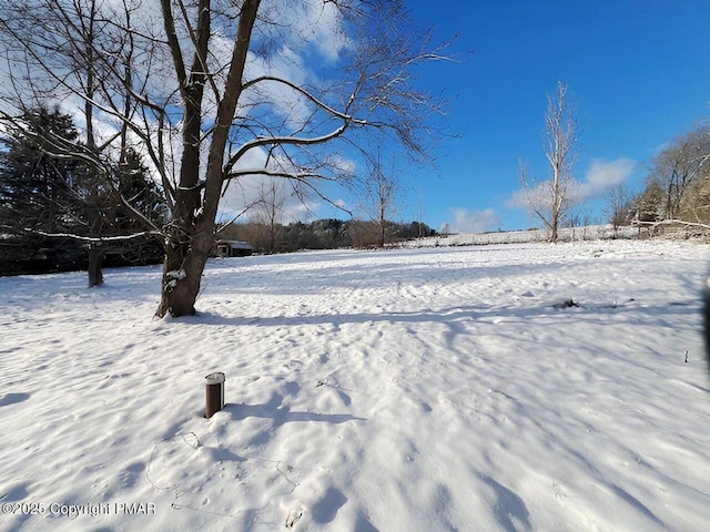 view of snowy yard