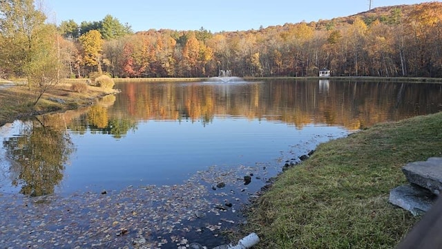 195 Bellingham Dr, Bushkill, PA 18324 - water view featuring a heavily wooded area