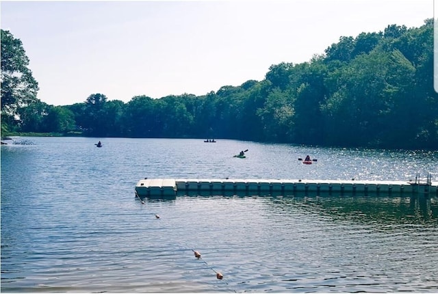 195 Bellingham Dr, Bushkill, PA 18324 - water view featuring a boat dock