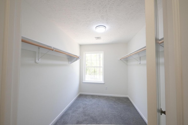 9133 Belvedere Rd # 5020, Tobyhanna, PA 18466 - spacious closet featuring carpet flooring