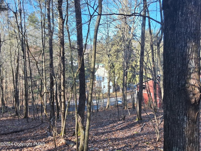 view of local wilderness