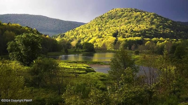 mountain view with a water view and a forest view