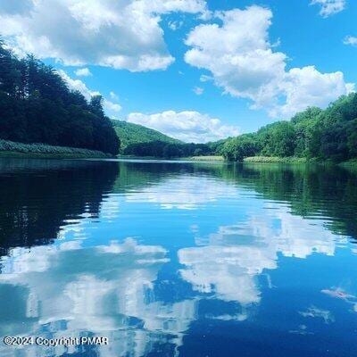 property view of water with a view of trees