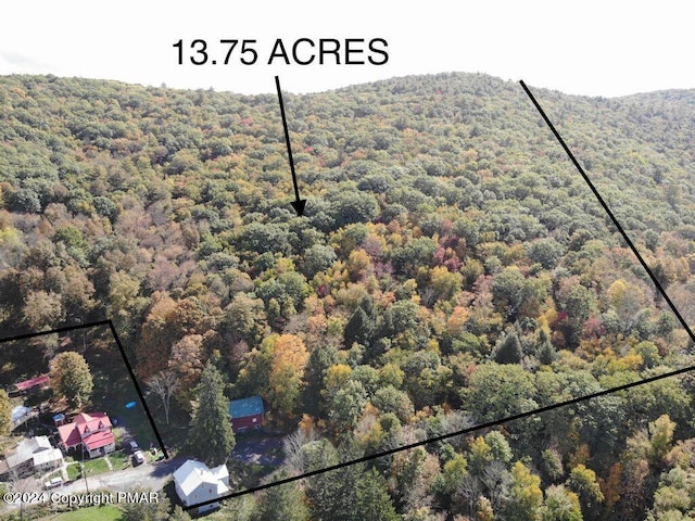 view of mountain feature with a view of trees