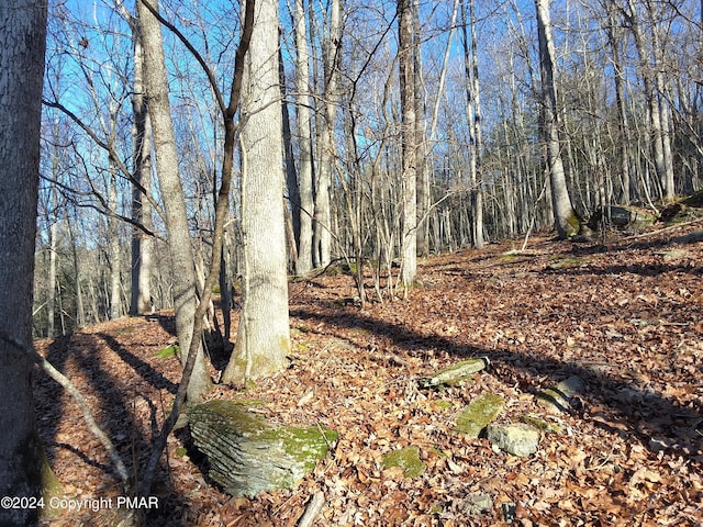 view of landscape with a wooded view