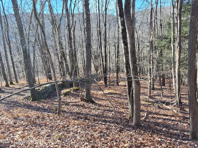 view of local wilderness with a forest view