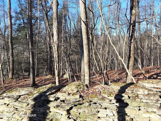 view of nature with a view of trees