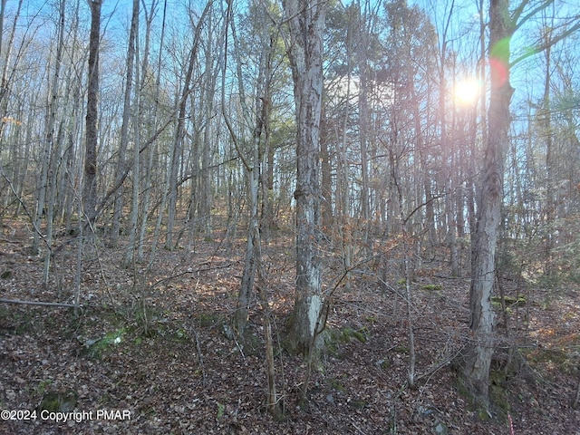 view of local wilderness with a forest view