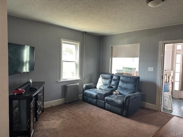 carpeted living area with radiator, a textured ceiling, and baseboards