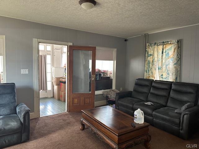 living area featuring a textured ceiling and carpet flooring