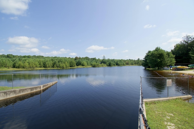 109 Forest Lake Dr, Jim Thorpe, PA 18229 - water view with a heavily wooded area