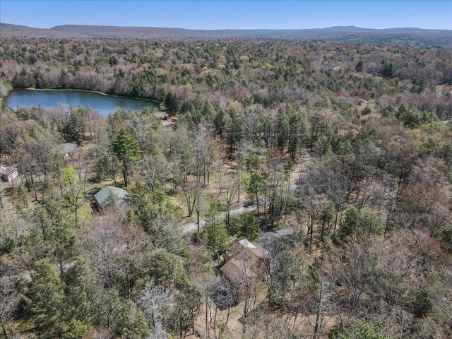19 Big Pine Dr, Albrightsville, PA 18210 - photo 45