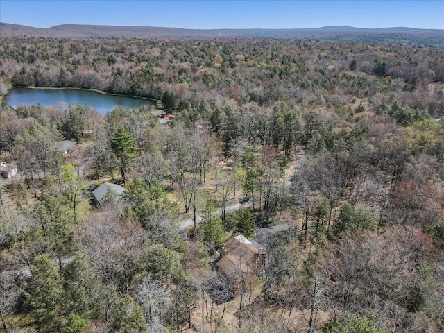 19 Big Pine Dr, Albrightsville, PA 18210 - photo 44