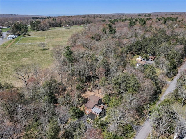 19 Big Pine Dr, Albrightsville, PA 18210 - photo 48