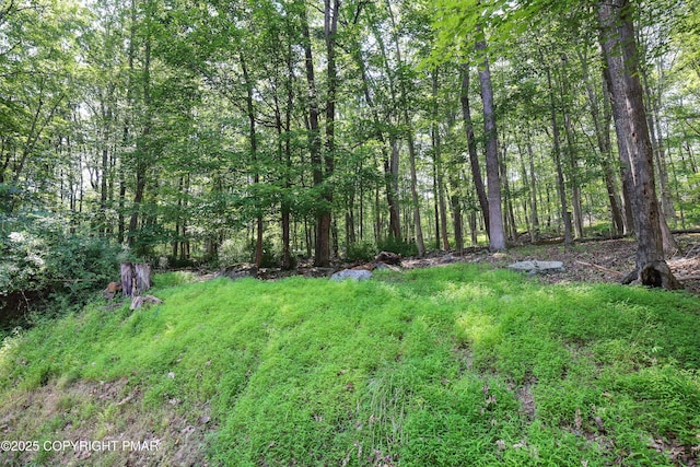 218 Vista Rd, Cresco, PA 18326 - photo 21