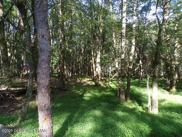 LOT709A Wintergreen Trl, Albrightsville, PA 18210 - photo 3