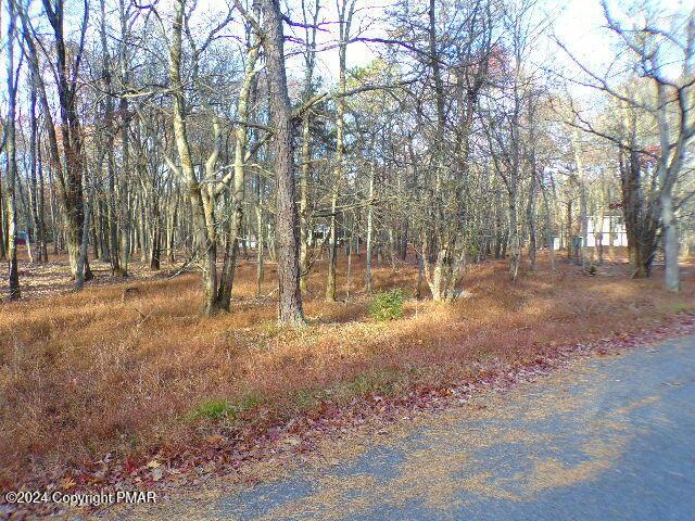 Listing photo 2 for LOT709A Wintergreen Trl, Albrightsville PA 18210