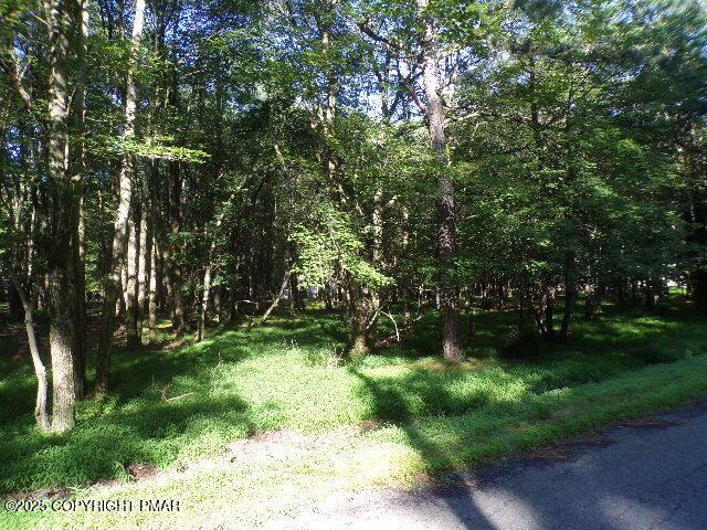 LOT709A Wintergreen Trl, Albrightsville, PA 18210 - photo 2