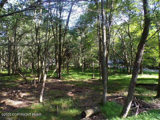 LOT709A Wintergreen Trl, Albrightsville, PA 18210 - photo 4