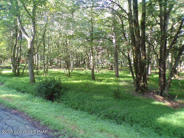 LOT709A Wintergreen Trl, Albrightsville, PA 18210 - photo 5