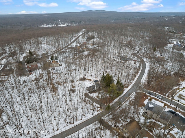 22 Shawnee Trl, Albrightsville, PA 18210 - photo 47