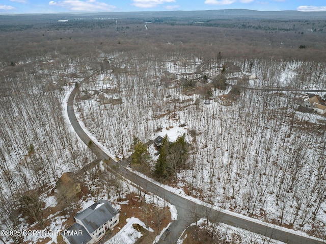 22 Shawnee Trl, Albrightsville, PA 18210 - photo 48