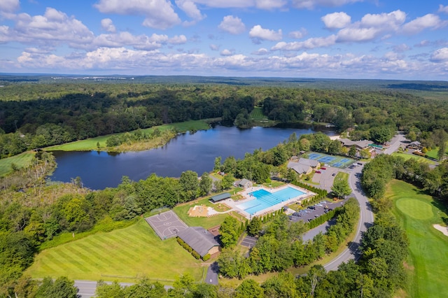 371 Echo Lake Rd, Tobyhanna, PA 18466 - drone / aerial view of a forest and a large body of water
