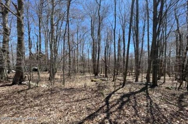 Listing photo 3 for LOT20 Marina Dr, Tobyhanna PA 18466