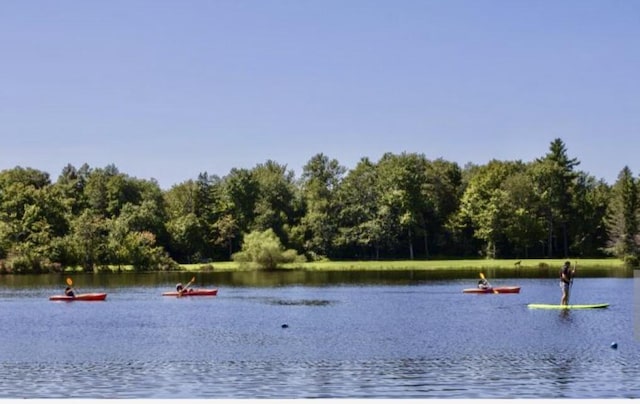 1110 Lehigh Cir, Tobyhanna, PA 18466 - water view with a heavily wooded area