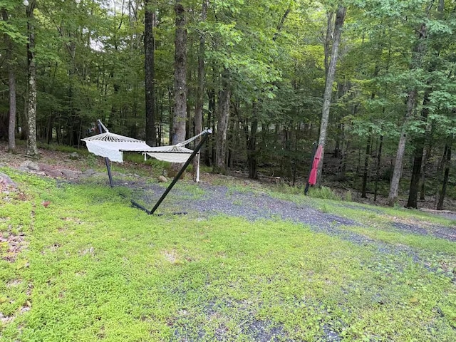 3114 Fairfax Ter, East Stroudsburg, PA 18301 - view of yard with a forest view