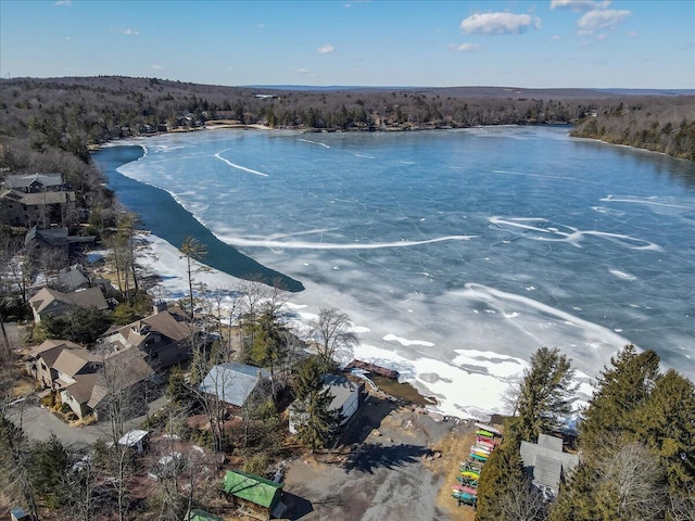 drone / aerial view featuring a water view and a wooded view