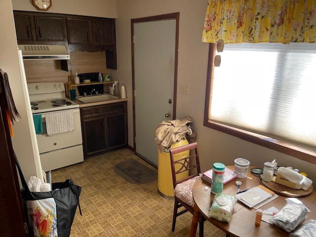 kitchen featuring white electric range, a sink, dark brown cabinetry, light countertops, and extractor fan