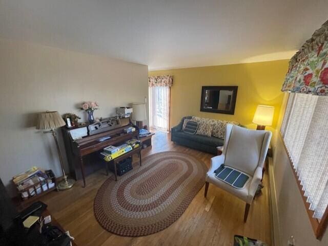 living room featuring wood finished floors