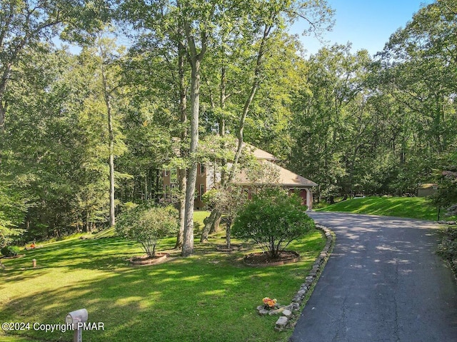 view of property hidden behind natural elements with aphalt driveway, a wooded view, and a front yard