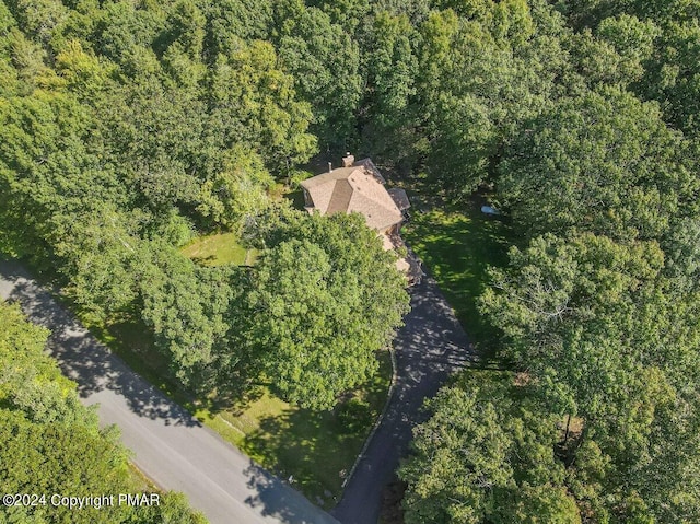 bird's eye view with a view of trees