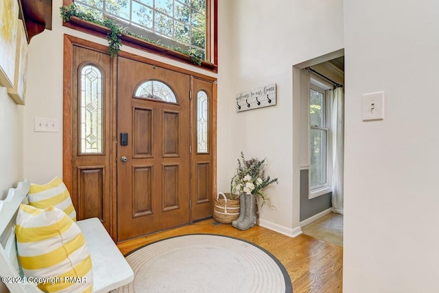 entrance foyer with light wood finished floors, plenty of natural light, a towering ceiling, and baseboards