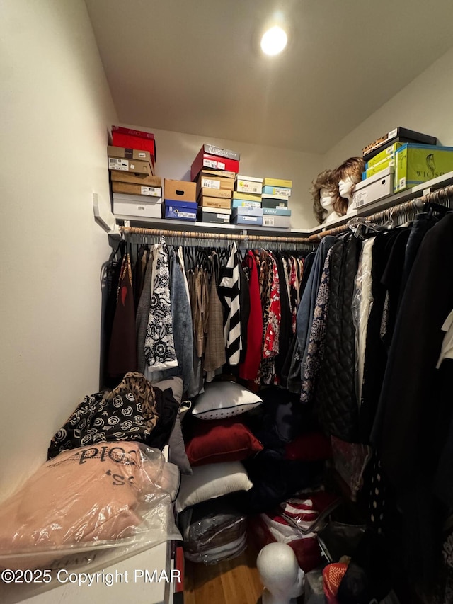 walk in closet featuring wood finished floors