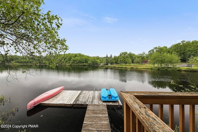 dock area with a water view