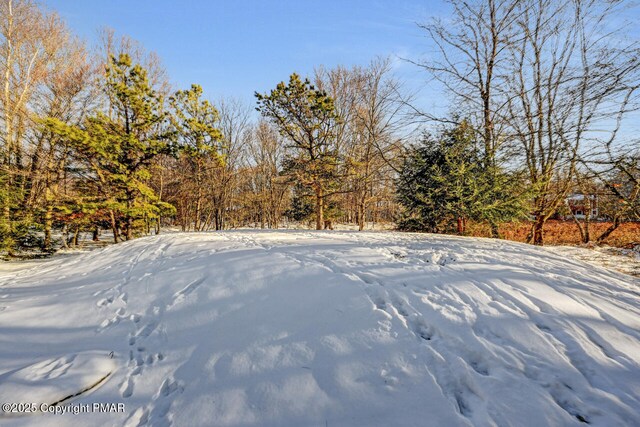 view of yard layered in snow