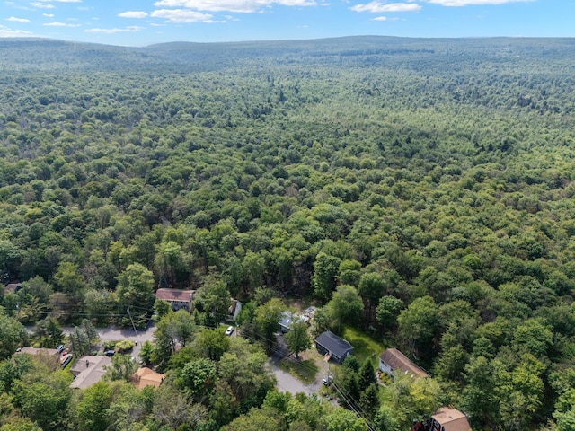 1533 Black Birch Way, Tobyhanna, PA 18466 - drone / aerial view of a forest