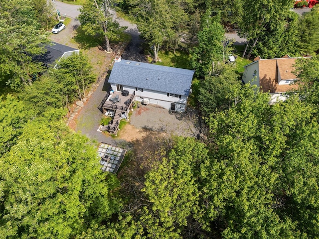 1533 Black Birch Way, Tobyhanna, PA 18466 - view of subject property