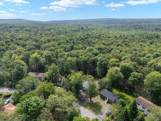1533 Black Birch Way, Tobyhanna, PA 18466 - drone / aerial view of a heavily wooded area